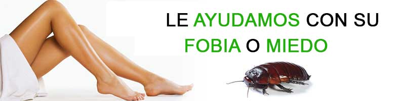 Le ayudamos con sus fobias y miedos